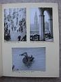 008 Hamburg alte historische Photographien